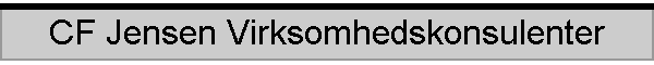 CF Jensen Virksomhedskonsulenter