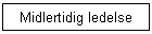 Midlertidig ledelse