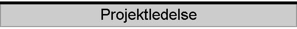 Projektledelse