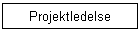 Projektledelse