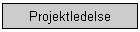 Projektledelse