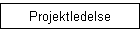 Projektledelse